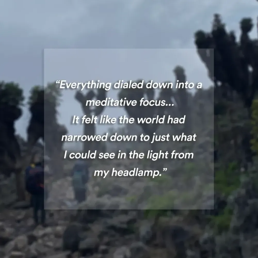 Pull quote superimposed on top of image of hikers climbing through trees on Mount Kilimanjaro